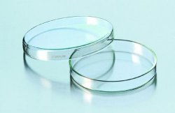 Glass petri dish<br>120 x 20mm